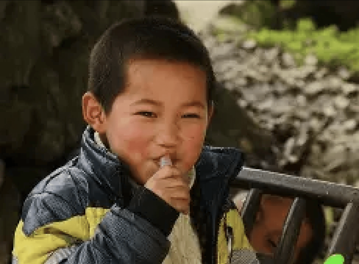 那些年我们一起追过的梦